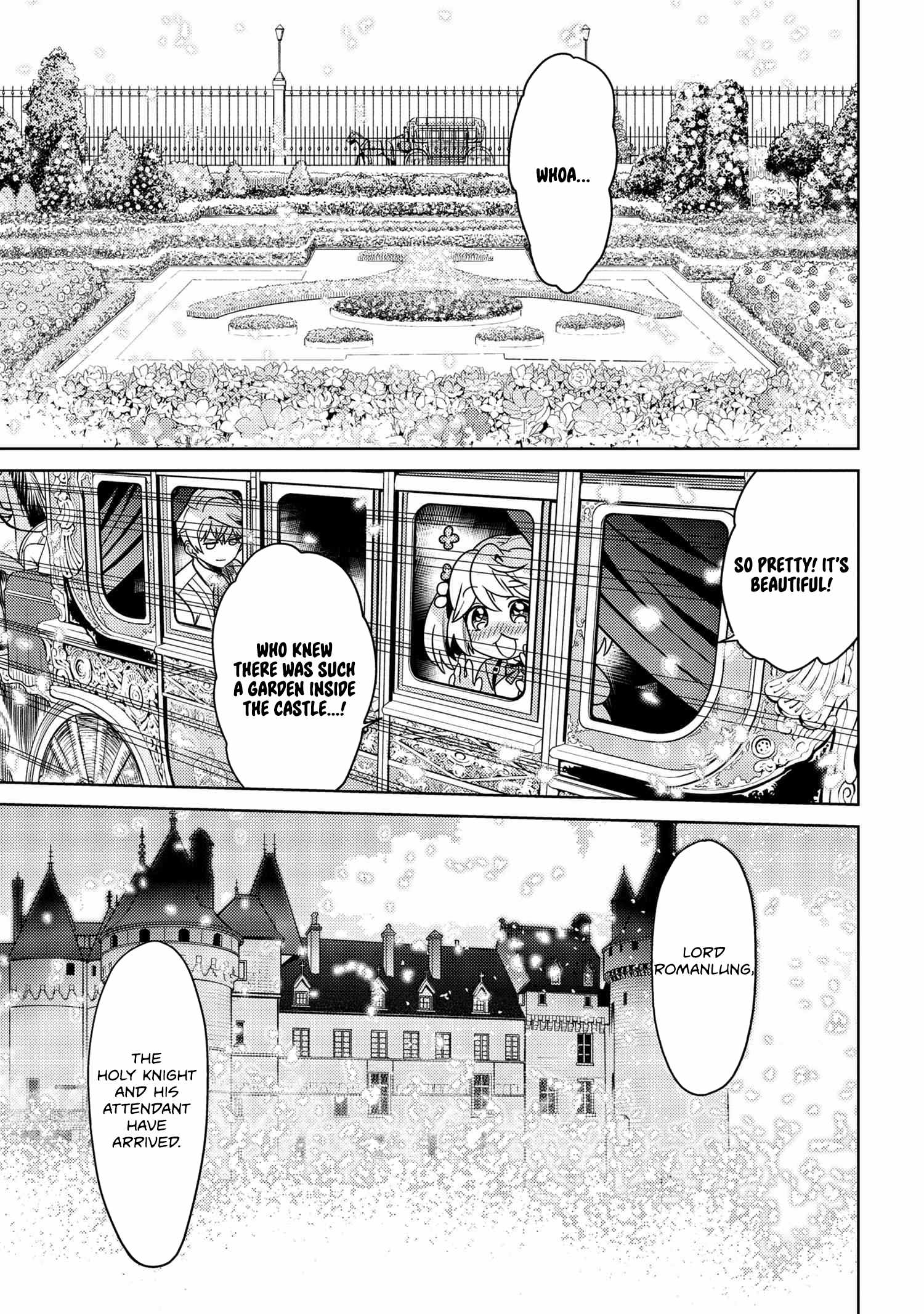 The World’s Best Assassin, Reincarnated in a Different World as an Aristocrat Chapter 35.1 - Page 3