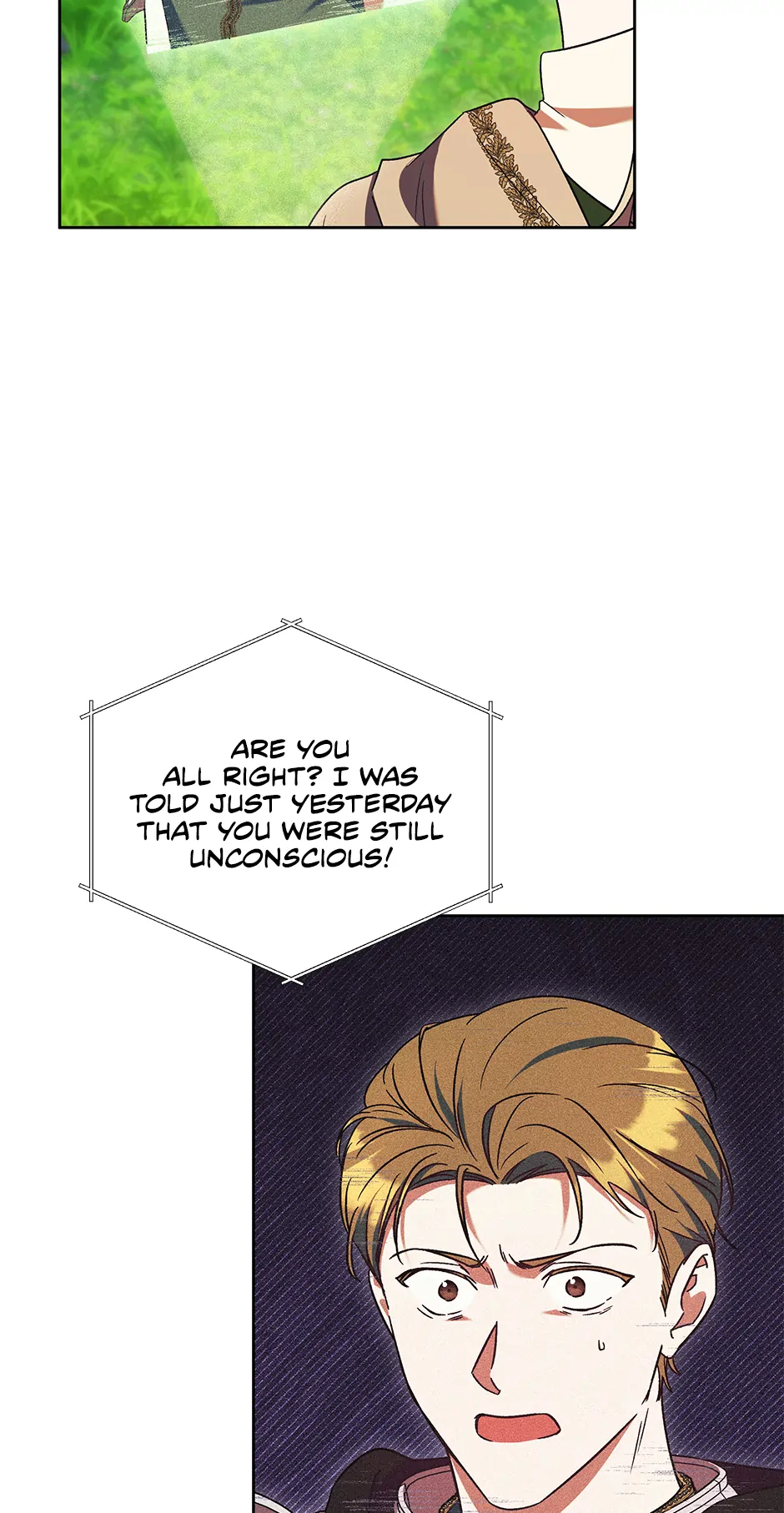 The Young Lady Who Broke Her Engagement Is Only Obsessed With the Ending Chapter 46 - Page 29