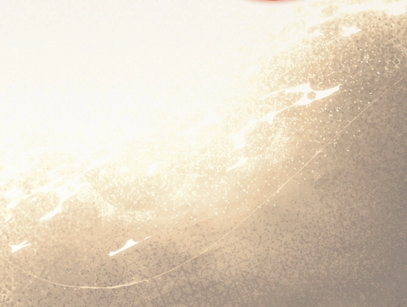 There’s No Way I’d Be Satisfied With a Rabbit Husband! Chapter 11 - Page 22