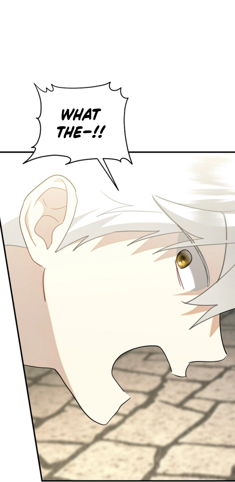 There’s No Way I’d Be Satisfied With a Rabbit Husband! Chapter 12 - Page 24