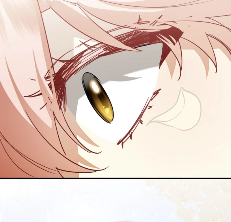 There’s No Way I’d Be Satisfied With a Rabbit Husband! Chapter 12 - Page 89