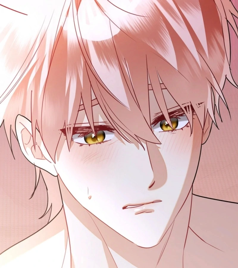 There’s No Way I’d Be Satisfied With a Rabbit Husband! Chapter 14 - Page 62