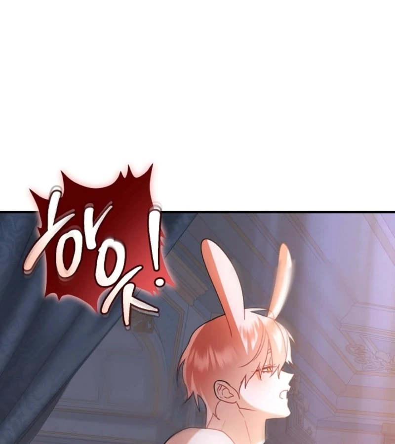 There’s No Way I’d Be Satisfied With a Rabbit Husband! Chapter 14 - Page 66