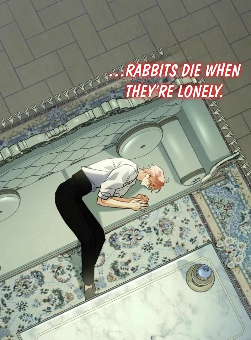 There’s No Way I’d Be Satisfied With a Rabbit Husband! Chapter 15 - Page 89