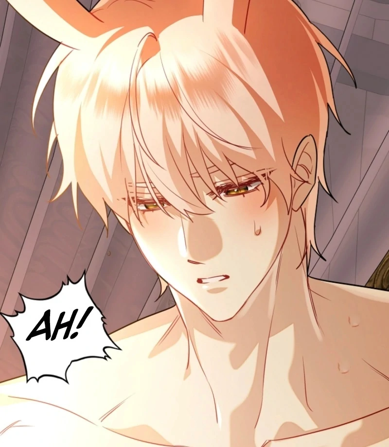 There’s No Way I’d Be Satisfied With a Rabbit Husband! Chapter 16 - Page 116