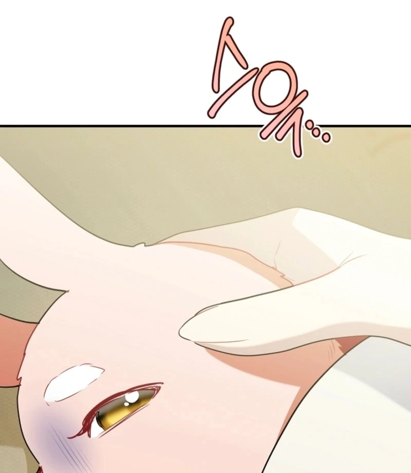 There’s No Way I’d Be Satisfied With a Rabbit Husband! Chapter 16 - Page 60