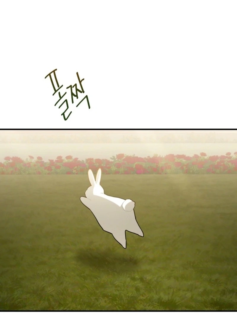 There’s No Way I’d Be Satisfied With a Rabbit Husband! Chapter 22 - Page 106
