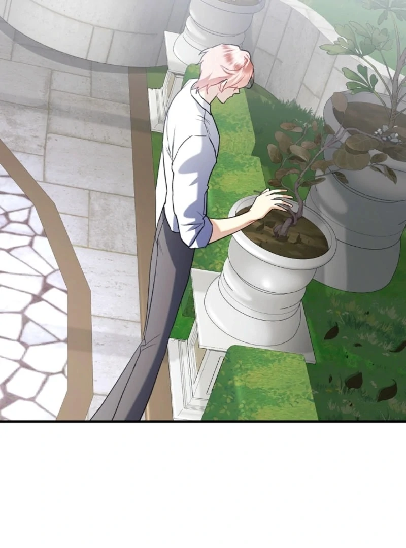 There’s No Way I’d Be Satisfied With a Rabbit Husband! Chapter 23 - Page 19