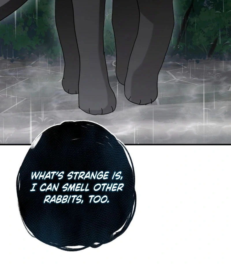 There’s No Way I’d Be Satisfied With a Rabbit Husband! Chapter 23 - Page 81