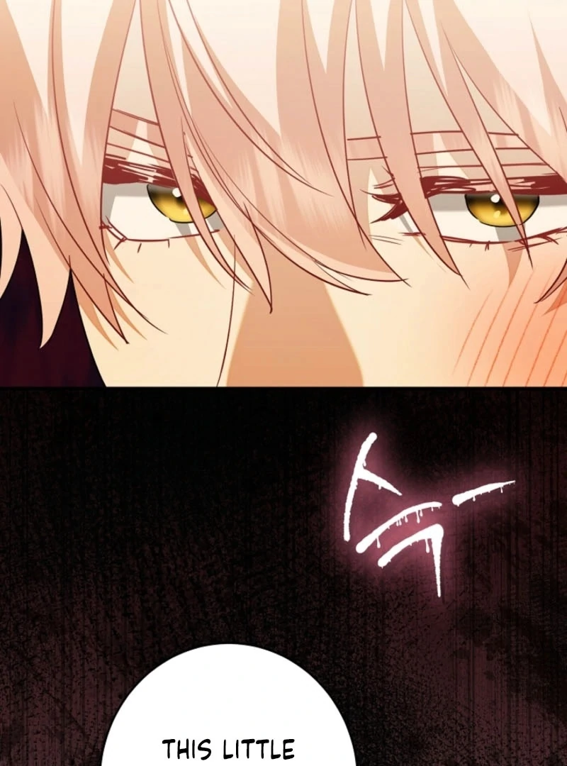 There’s No Way I’d Be Satisfied With a Rabbit Husband! Chapter 23 - Page 96