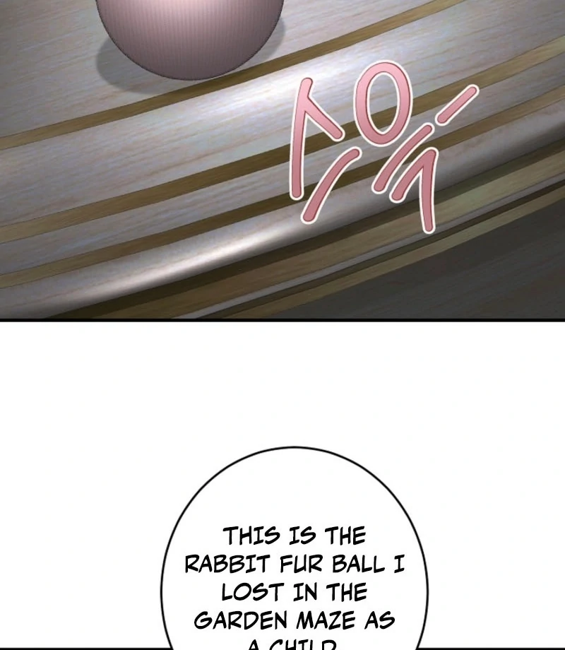 There’s No Way I’d Be Satisfied With a Rabbit Husband! Chapter 24 - Page 11