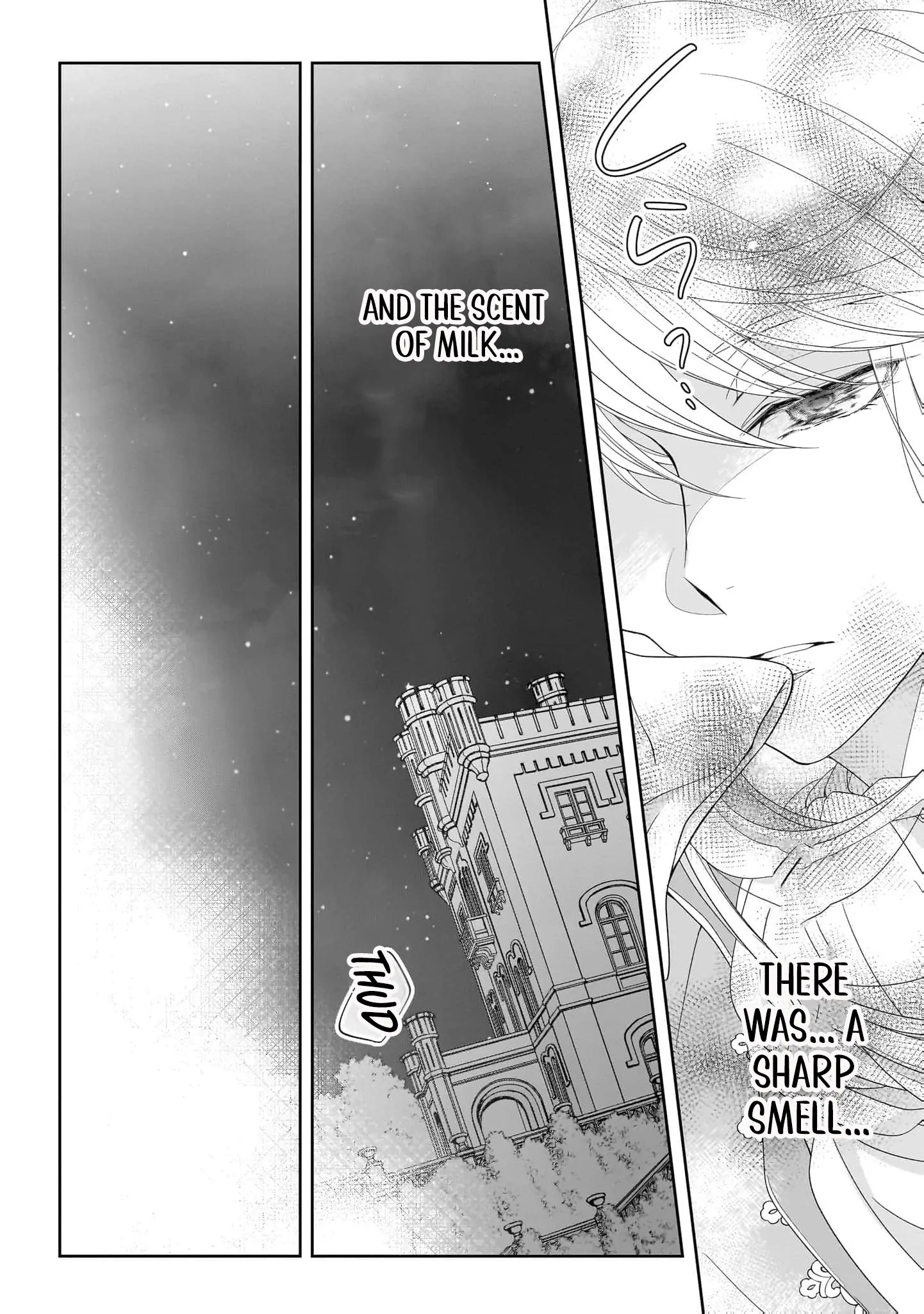 They Call Me the Handsome Young Lady Chapter 3 - Page 16