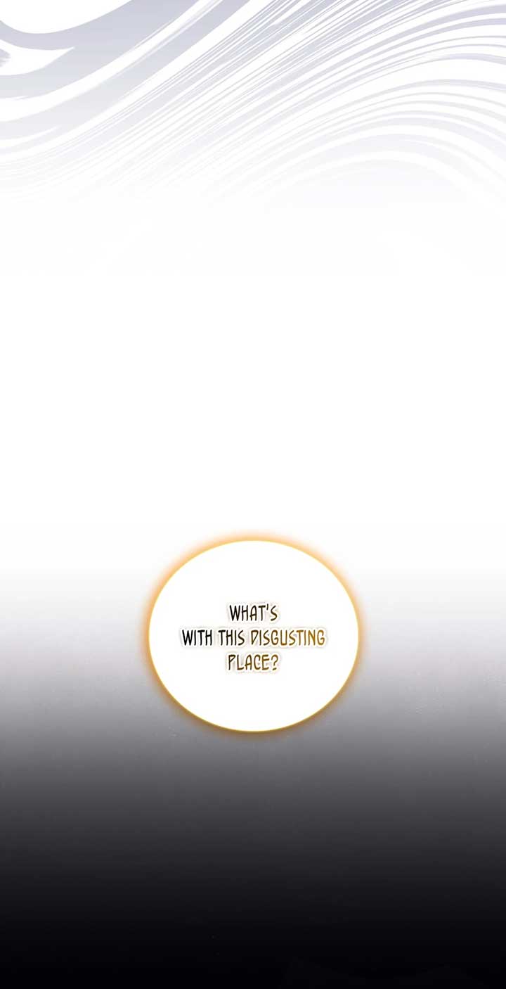 They Say I Was Born a King’s Daughter Chapter 266 - Page 96