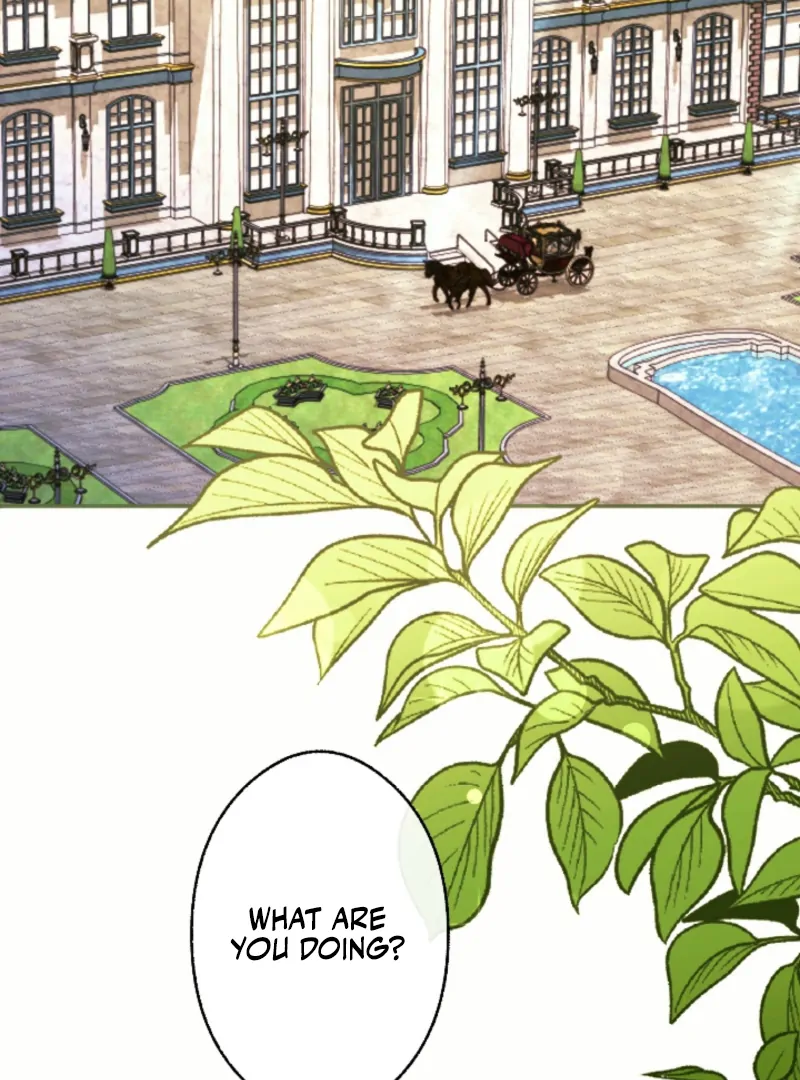 This Time, I Will Seduce the Duke My Cold-Hearted Husband Chapter 3 - Page 32