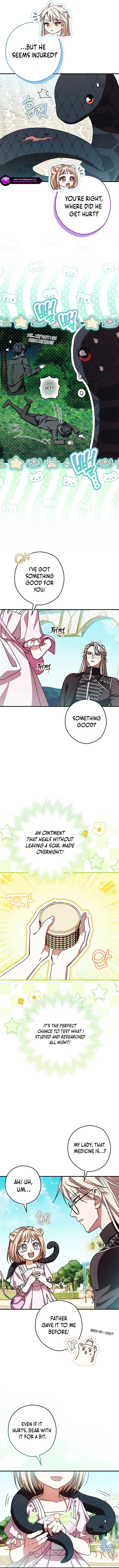 This Wild Mouse Has Taken Cinderella Chapter 26 - Page 7