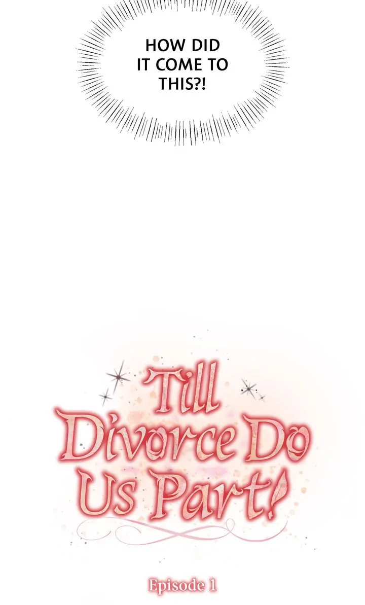 Till Divorce Do Us Part! Chapter 1 - Page 24