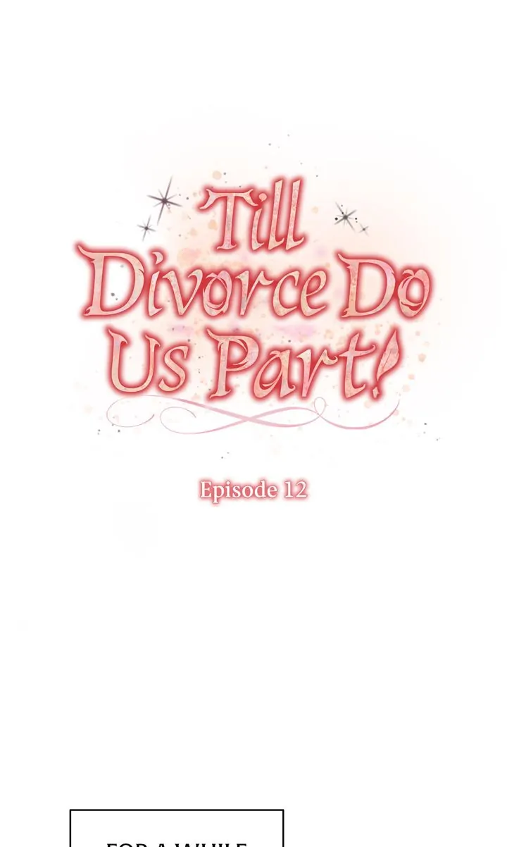 Till Divorce Do Us Part! Chapter 12 - Page 0