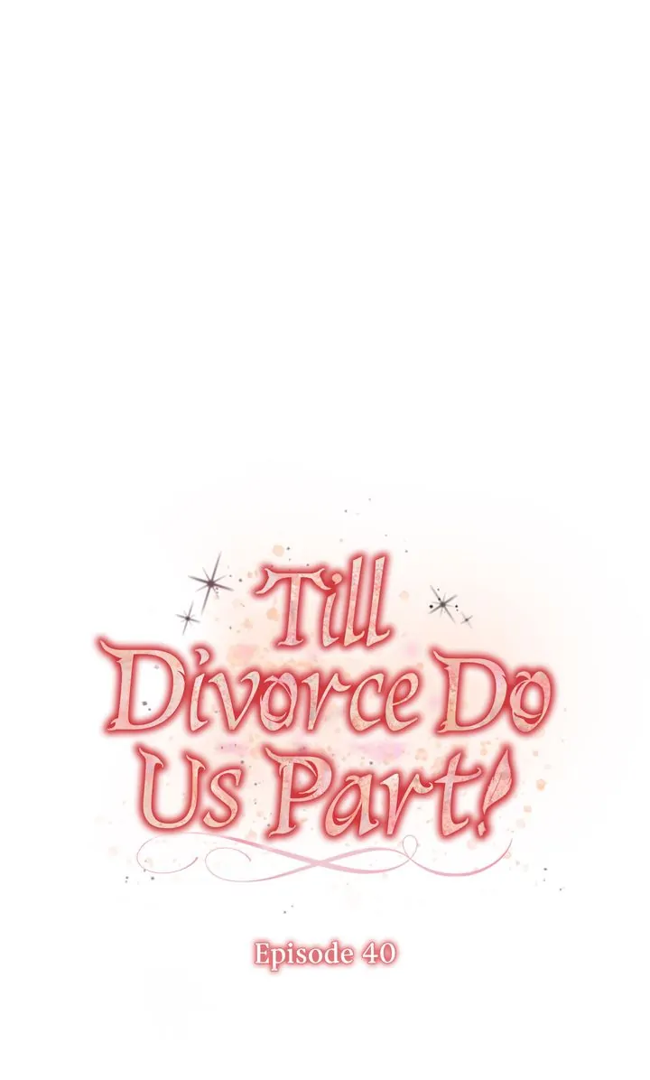 Till Divorce Do Us Part! Chapter 40 - Page 15