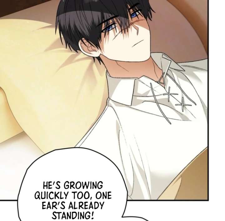 To My Dear Wolf Chapter 14 - Page 25