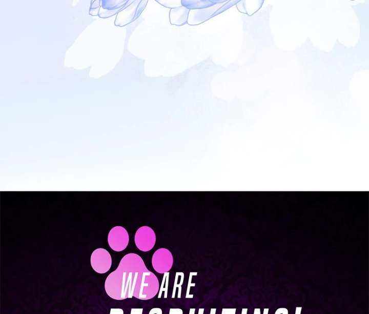 To My Dear Wolf Chapter 17 - Page 144