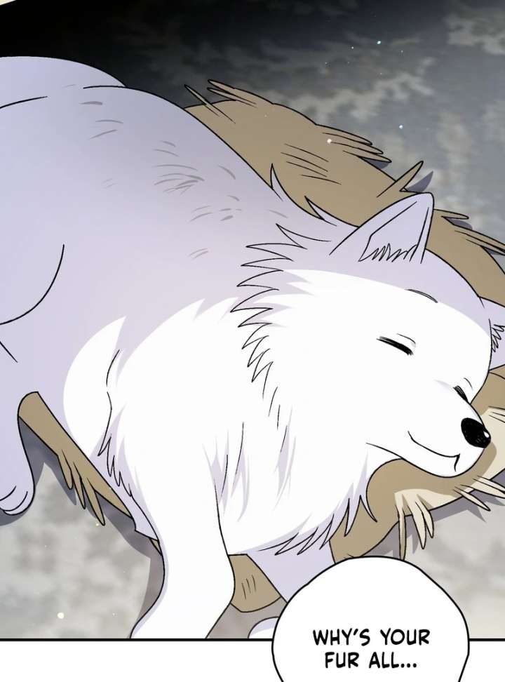 To My Dear Wolf Chapter 17 - Page 4