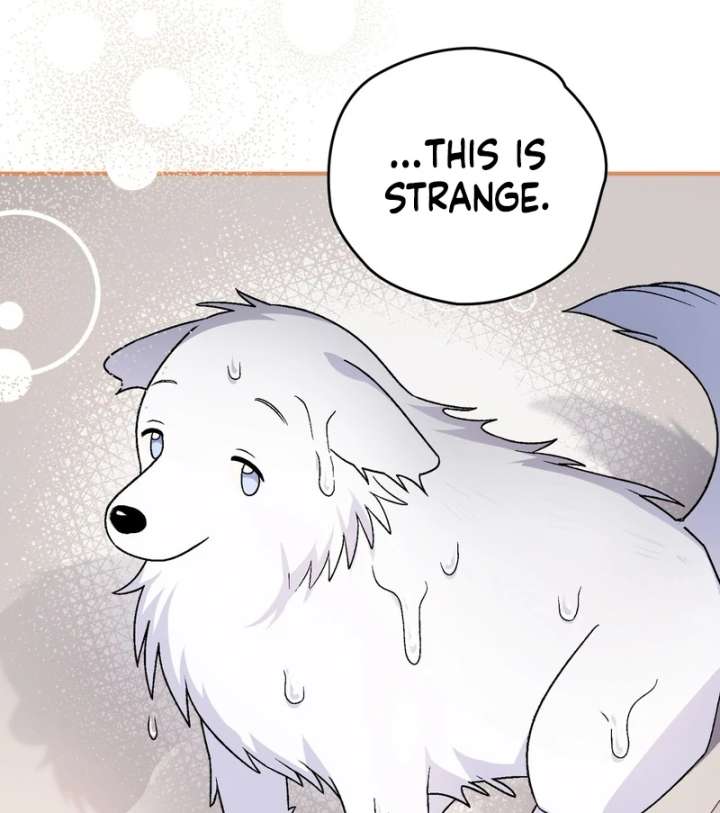 To My Dear Wolf Chapter 18 - Page 93