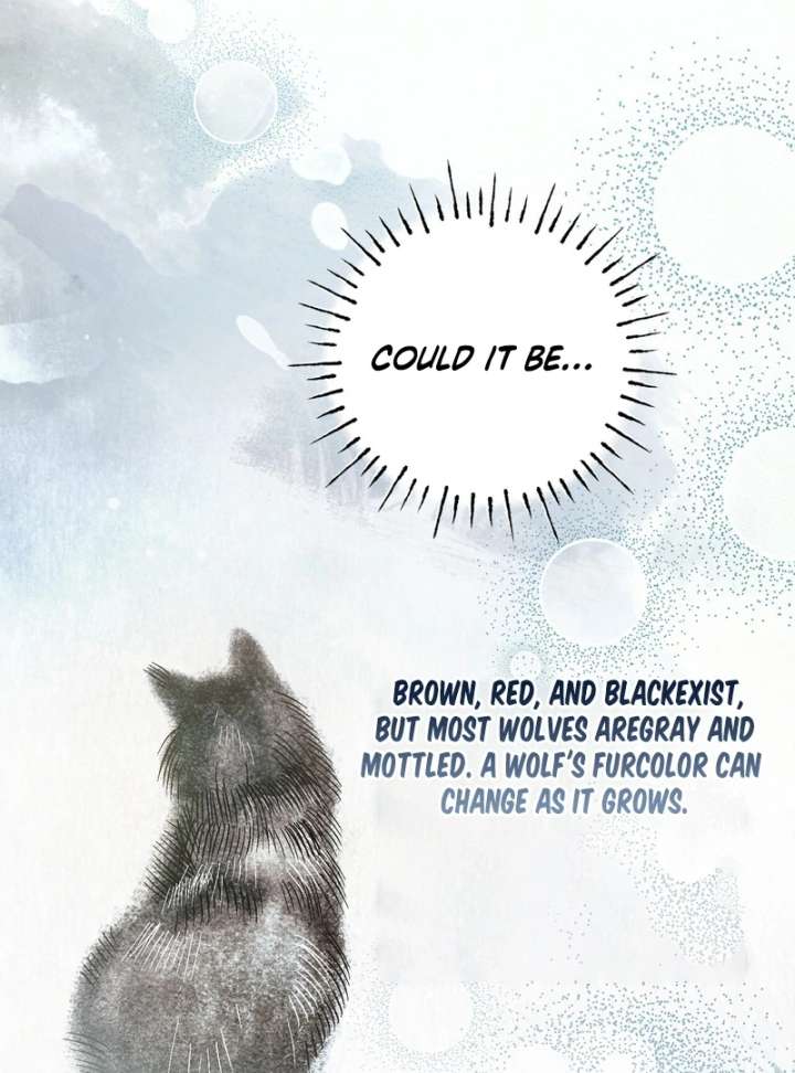 To My Dear Wolf Chapter 18 - Page 95