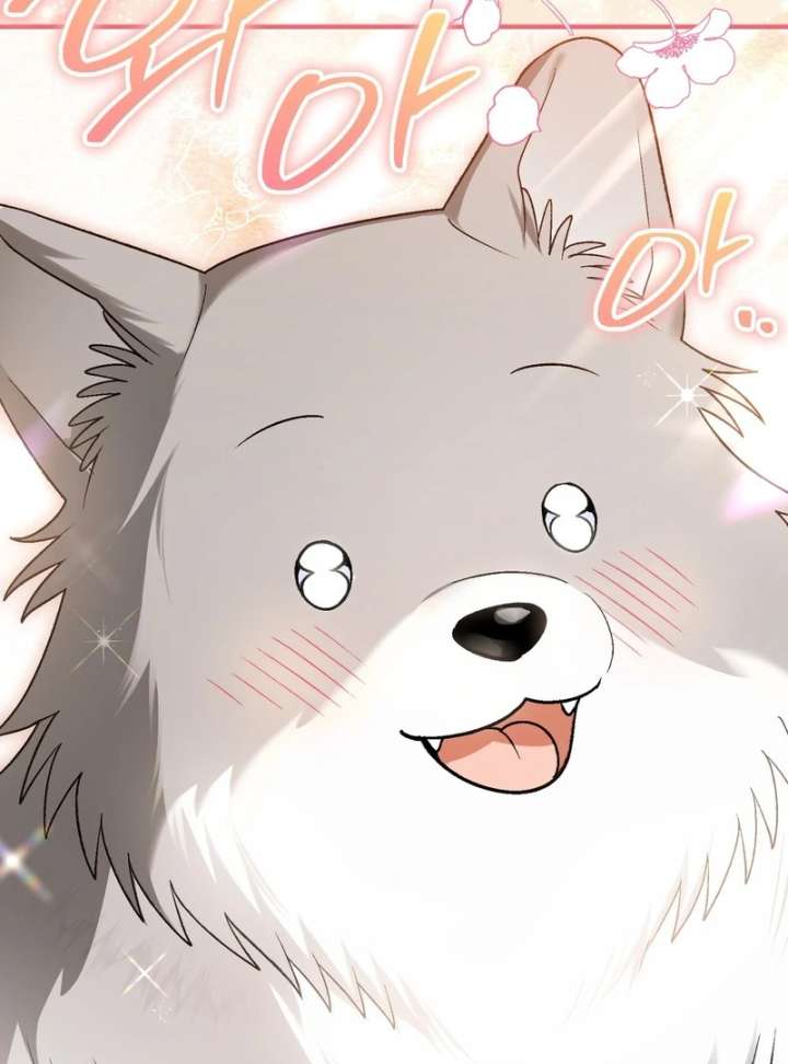 To My Dear Wolf Chapter 19 - Page 101