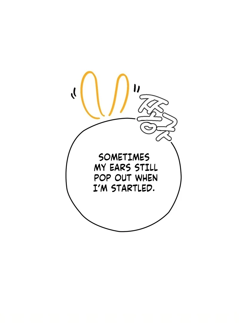 To My Dear Wolf Chapter 2 - Page 22