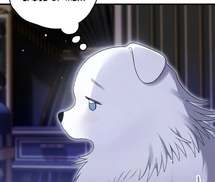 To My Dear Wolf Chapter 5 - Page 37