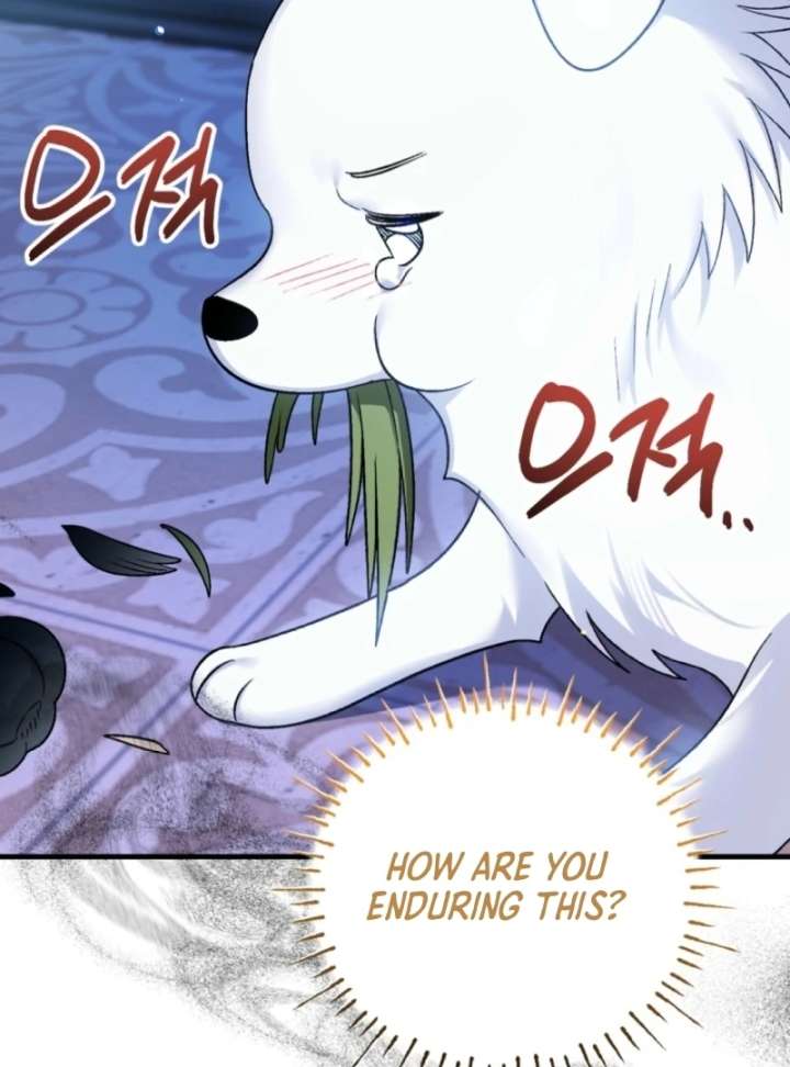 To My Dear Wolf Chapter 6 - Page 6