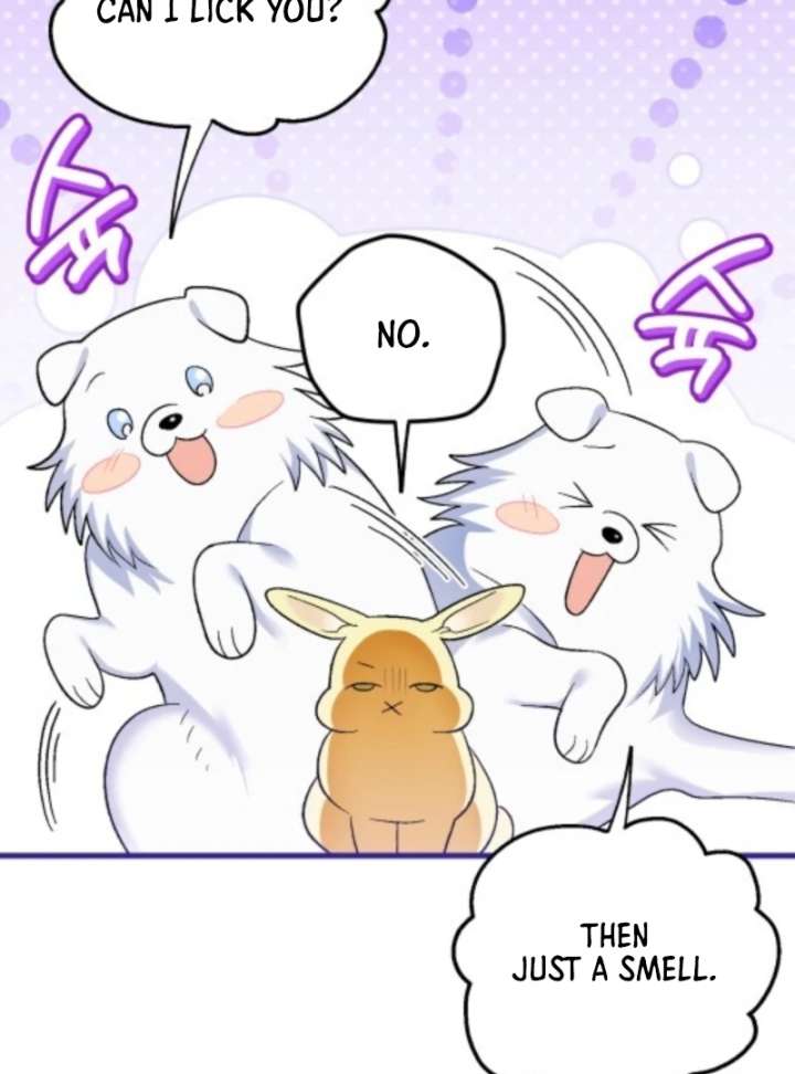 To My Dear Wolf Chapter 8 - Page 67