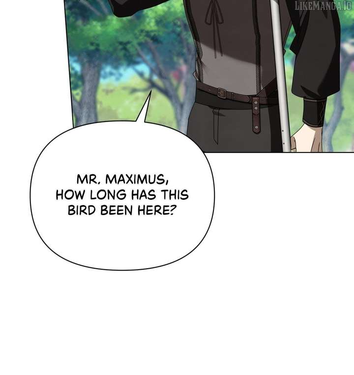 To the Witch Who Forgot the Birds Chapter 38 - Page 13