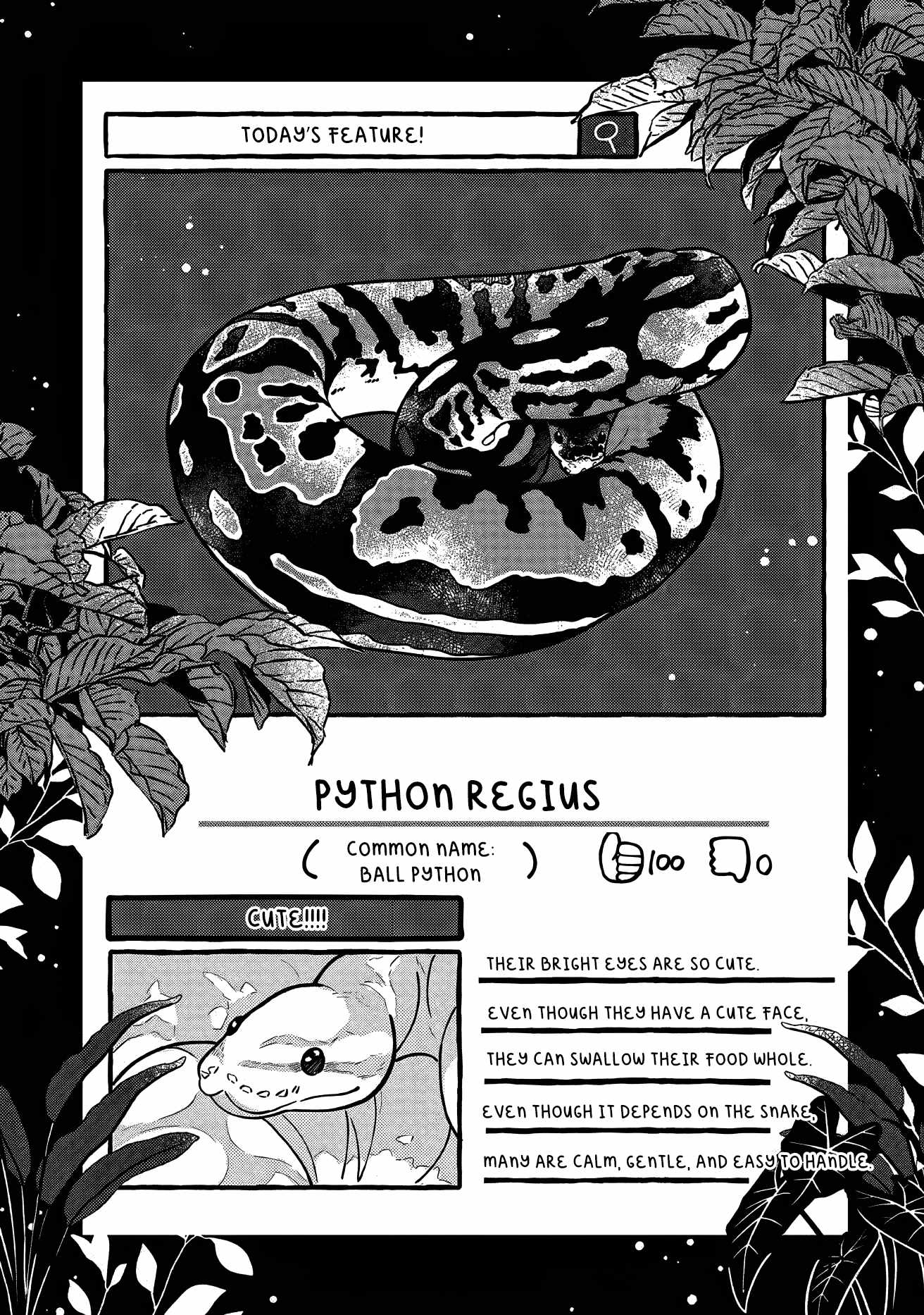Tonari no Hachuurui-kun Chapter 4 - Page 26