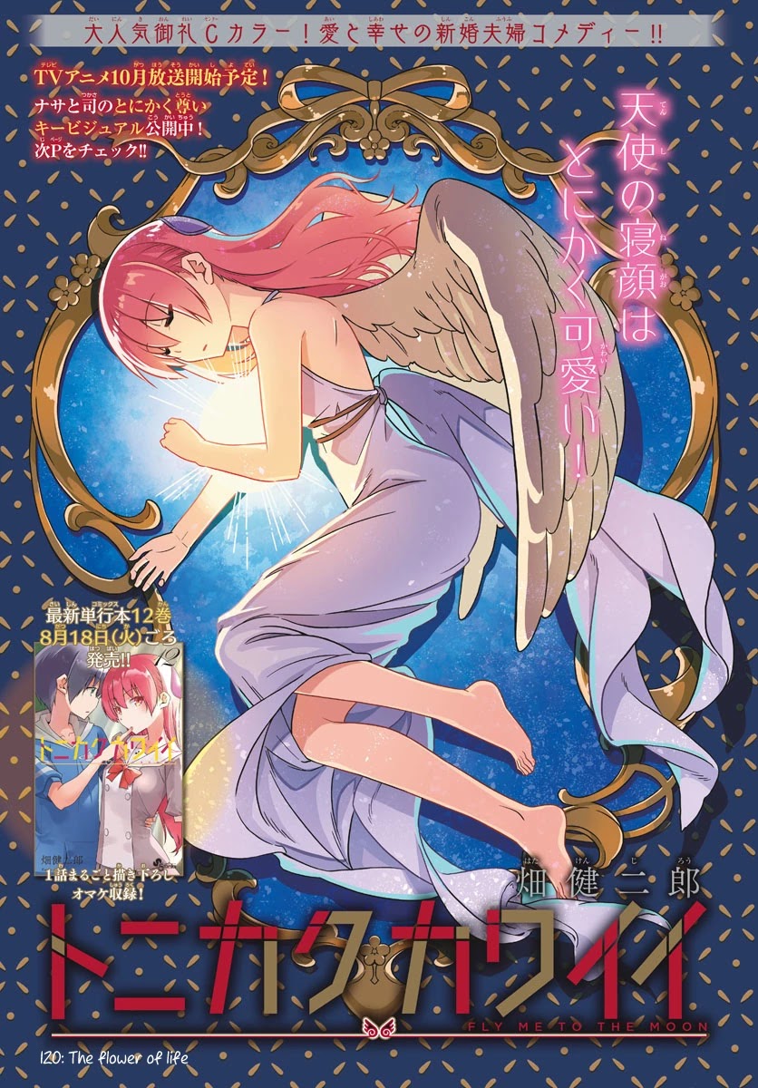 Tonikaku Cawaii Chapter 120 - Page 1