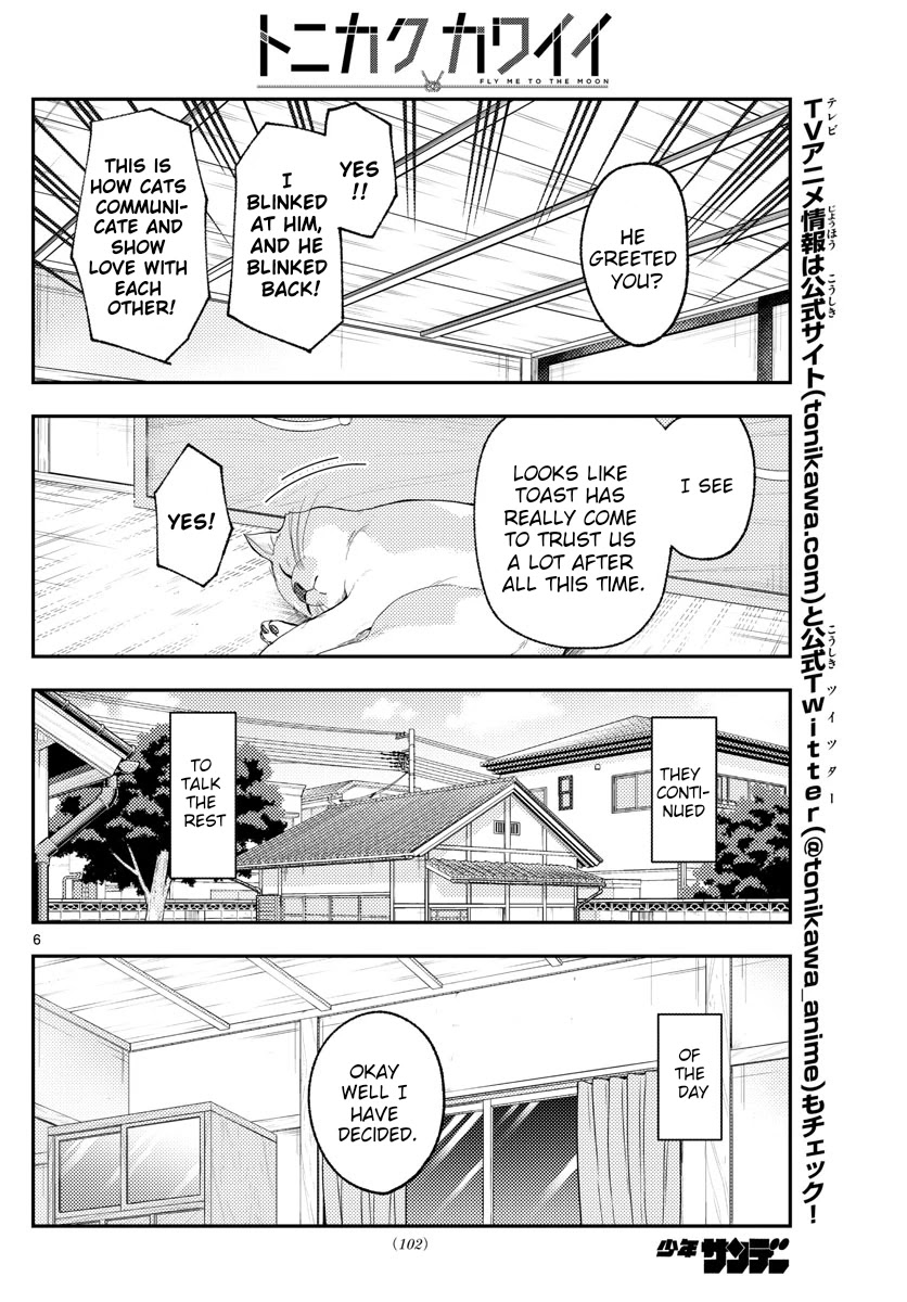 Tonikaku Cawaii Chapter 172 - Page 6