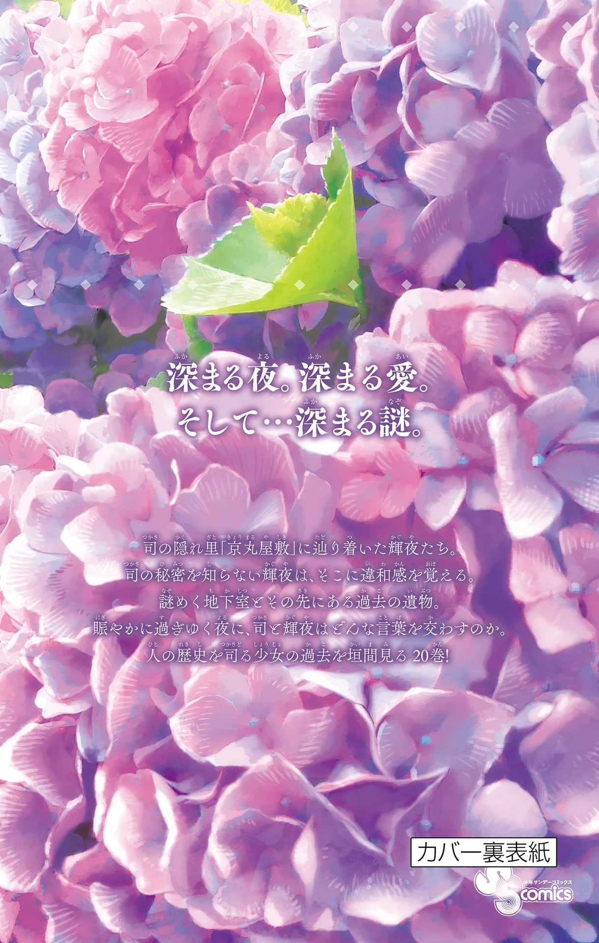 Tonikaku Cawaii Chapter 187.5 - Page 20