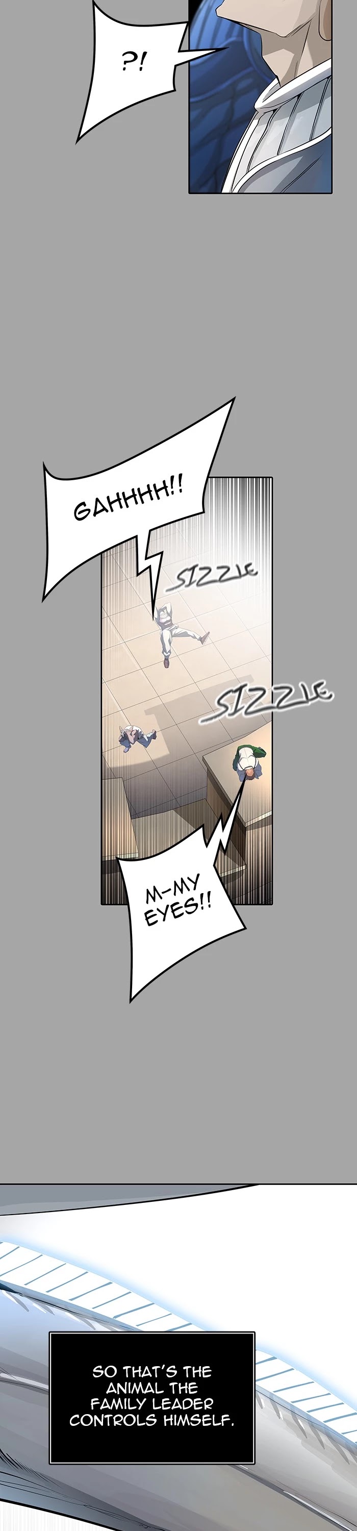 Tower of God Chapter 529 - Page 12
