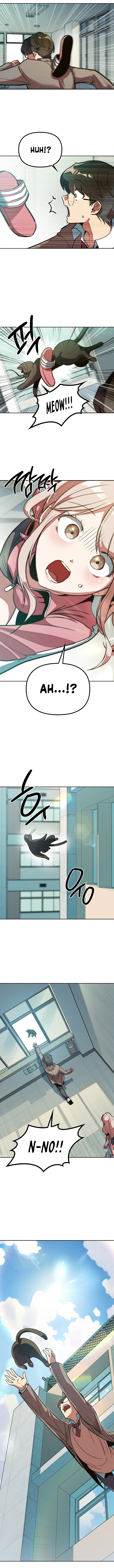 Twelve Zodiac Girls Chapter 1 - Page 18