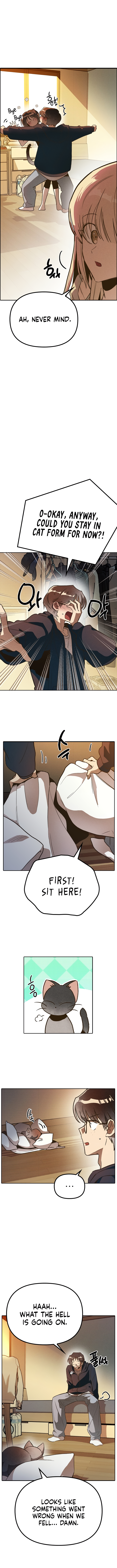 Twelve Zodiac Girls Chapter 2 - Page 6