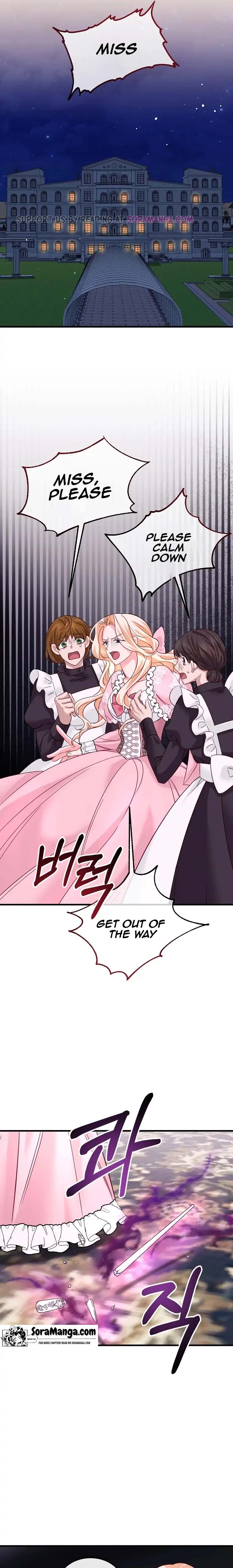 Twin Sister’s Strike Declaration Chapter 11 - Page 13