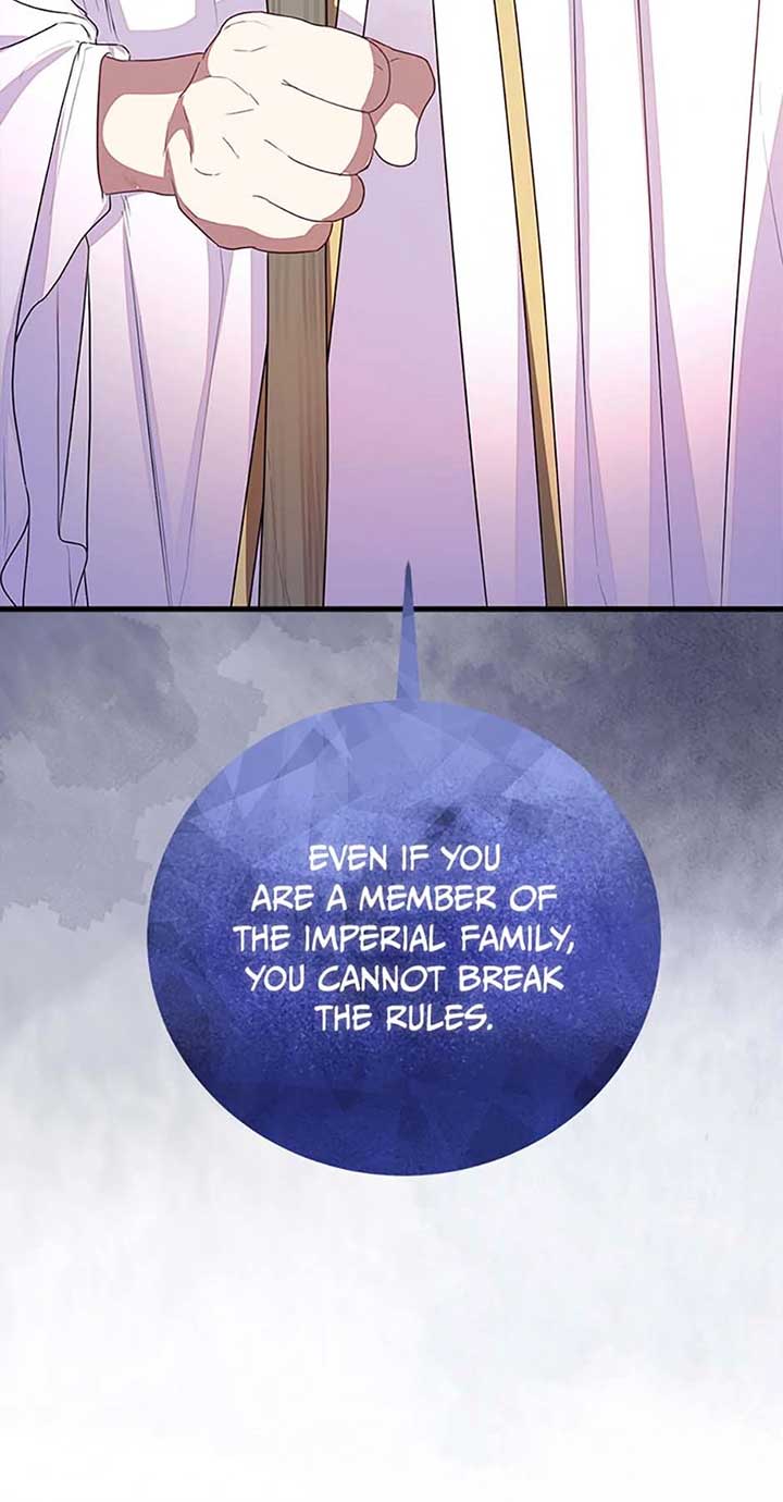 Twin Sister’s Strike Declaration Chapter 52 - Page 19