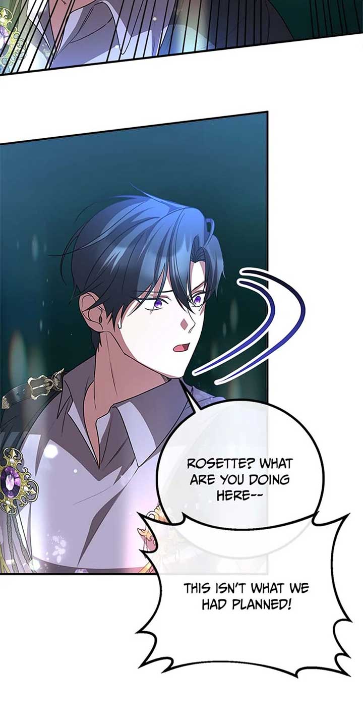 Twin Sister’s Strike Declaration Chapter 67 - Page 25