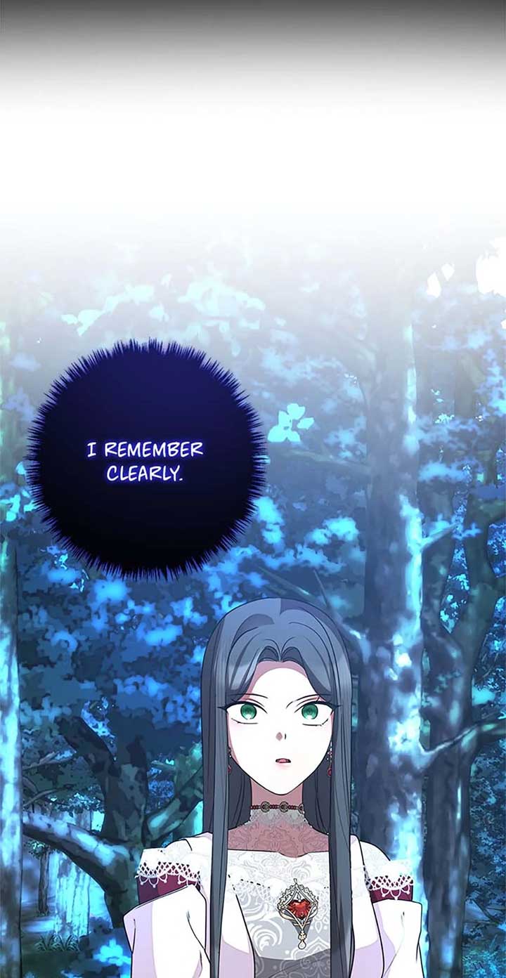 Twin Sister’s Strike Declaration Chapter 67 - Page 42