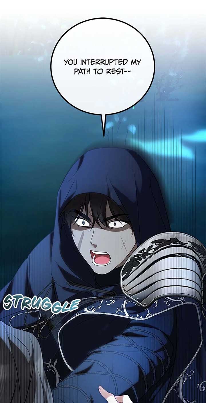 Twin Sister’s Strike Declaration Chapter 68 - Page 29
