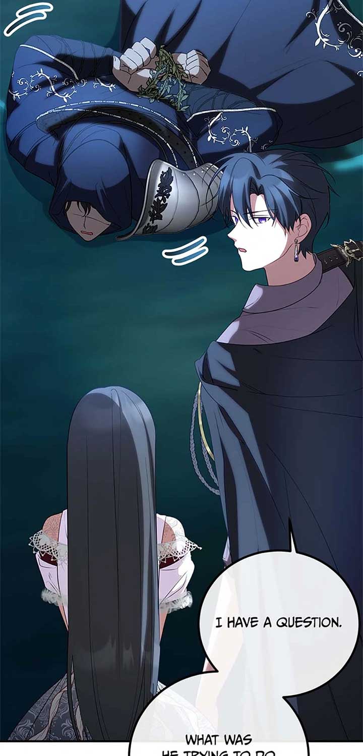 Twin Sister’s Strike Declaration Chapter 68 - Page 44