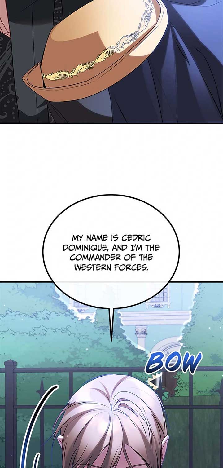 Twin Sister’s Strike Declaration Chapter 74 - Page 17
