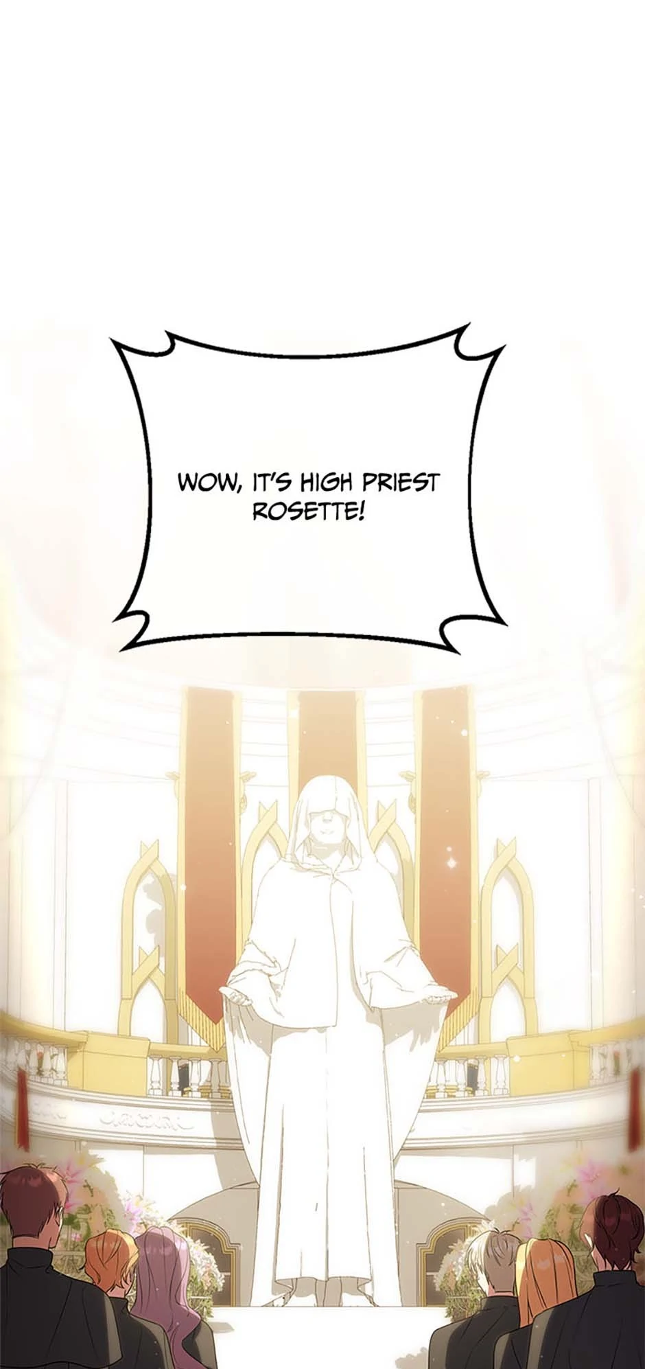 Twin Sister’s Strike Declaration Chapter 91 - Page 28