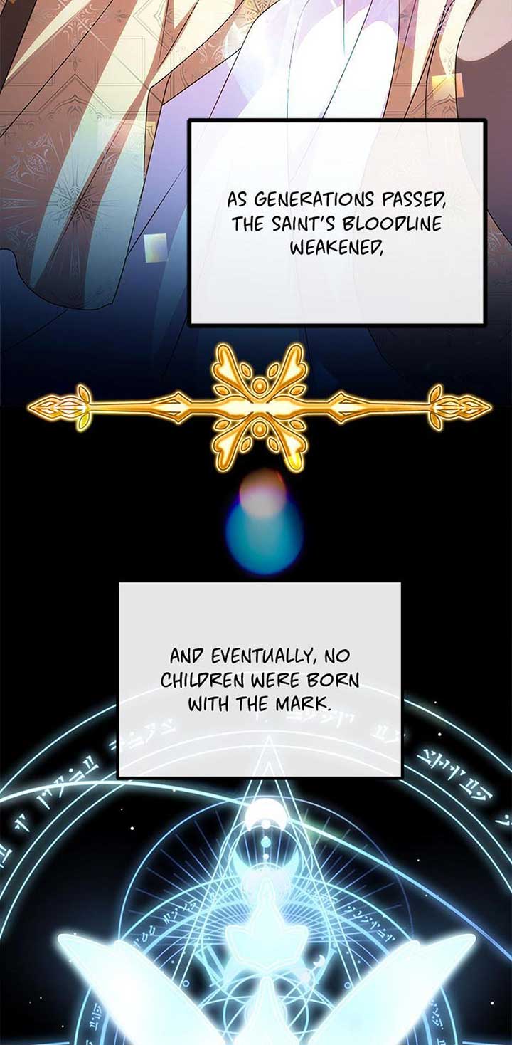 Twin Sister’s Strike Declaration Chapter 95 - Page 62