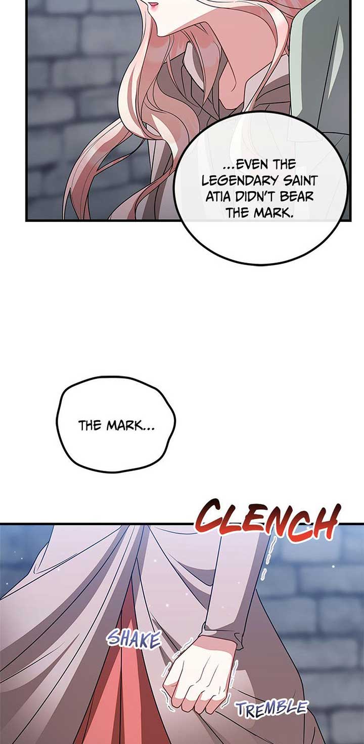 Twin Sister’s Strike Declaration Chapter 95 - Page 66